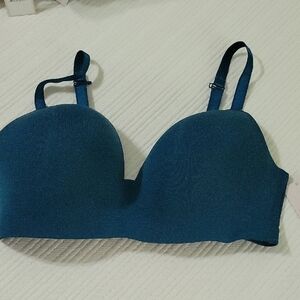 Blue Seamless T-Shirt Bra with Molded Cups